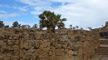 Preview of Israel landscape wallpaper collection